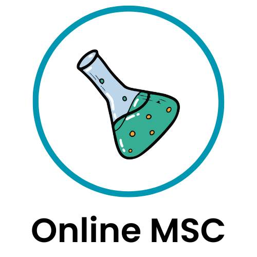 Online MSC